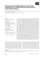 Báo cáo khoa học: Characterization of HbpR binding by site-directed mutagenesis of its DNA-binding site and by deletion of the effector domain pot