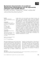 Báo cáo khoa học: Biochemical characterization of recombinant dihydroorotate dehydrogenase from the opportunistic pathogenic yeast Candida albicans pot
