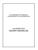 CO-OPERATIVE AUDIT MANUAL pot