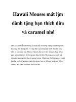 Hawaii Mousse mát lịm dành tặng bạn thích dừa và caramel nhé docx