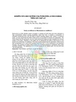 Nghiên cứu ảnh hưởng của phân bón lá Bio-hunnia trên Nghiên cứu ảnh hưởng của phân bón lá Bio-hunnia trên cây súp lơ docx