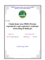 Tiểu luận: Chuẩn đoán virus PRRS (Porcine reproductive and respiratory syndrome virus) bằng kĩ thuật gen pot