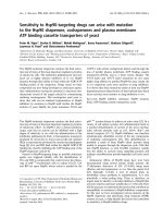 Báo cáo khoa học: Sensitivity to Hsp90-targeting drugs can arise with mutation to the Hsp90 chaperone, cochaperones and plasma membrane ATP binding cassette transporters of yeast docx