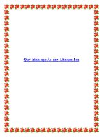 Quy trình nạp Ắc quy Lithium-Ion pot
