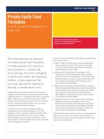 Private Equity Fund Formation docx