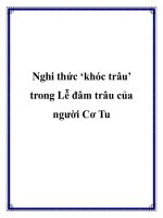 Nghi thức ‘khóc trâu’ trong Lễ đâm trâu của người Cơ Tu potx
