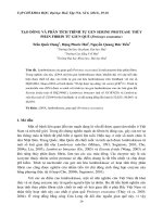 TẠO DÒNG VÀ PHÂN TÍCH TRÌNH TỰ GEN SERINE PROTEASE THỦY PHÂN FIBRIN TỪ GIUN QUẾ (Perionyx excavatus) pot