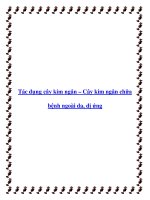 Tác dụng cây kim ngân – Cây kim ngân chữa bệnh ngoài da, dị ứng pptx