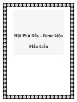 Hội Phủ Dầy - Rước kiệu Mẫu Liễu ppt