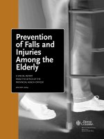 Prevention of Falls and Injuries Among the Elderly docx