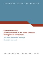 Chart of Accounts: A Critical Element of the Public Financial Management Framework potx