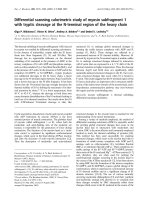Báo cáo Y học: Differential scanning calorimetric study of myosin subfragment 1 with tryptic cleavage at the N-terminal region of the heavy chain pdf