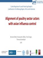 Alignment of poultry sector actors with avian influenza control pot