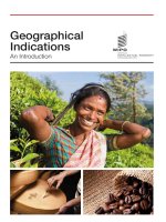 Geographical Indications doc