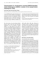 Báo cáo Y học: Characterization of a Saccharomyces cerevisiae NADP(H)-dependent alcohol dehydrogenase (ADHVII), a member of the cinnamyl alcohol dehydrogenase family pptx