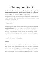 Cẩm nang chọn váy cưới pptx