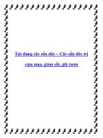 Tác dụng cây sắn dây – Cây sắn dây trị cảm mạo, giảm sốt, giã rượu pptx