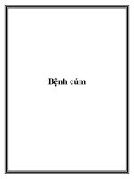 Bệnh cúm.Là bệnh viêm nhiễm cấp tính đường hô hấp gây nên bởi virus cúm potx