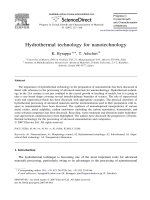hydrothermal technology for nanotechnology