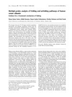 Báo cáo khoa học: Multiple-probe analysis of folding and unfolding pathways of human serum albumin docx