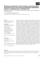 Báo cáo khoa học: Structure and function of the 3-carboxy-cis,cis-muconate lactonizing enzyme from the protocatechuate degradative pathway of Agrobacterium radiobacter S2 pdf
