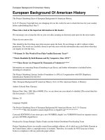 European Background Of American History docx