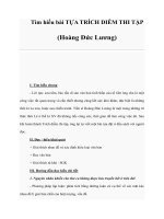 Tìm hiểu bài TỰA TRÍCH DIỄM THI TẬP(Hoàng Đức Lương) pdf