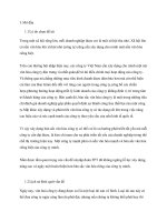 Bài tập nhóm: Nỗ lực xây dựng và phát triển văn hóa doanh nghiệp tại tập đoàn FPT