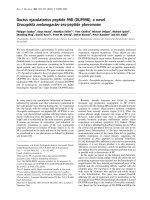 Báo cáo Y học: Ductus ejaculatorius peptide 99B (DUP99B), a novel Drosophila melanogaster sex-peptide pheromone docx