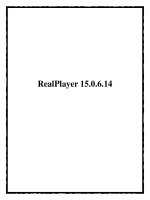 RealPlayer 15.0.6.14 ppt