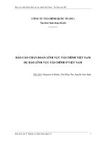 BÁO CÁO CHẨN ĐOÁN LĨNH VỰC TÀI CHÍNH VIỆT NAM DỰ BÁO LĨNH VỰC TÀI CHÍNH Ở VIỆT NAM pdf