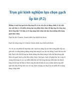 Trọn gói kinh nghiệm lựa chọn gạch ốp lát (P.2) pdf