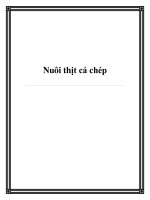 Nuôi thịt cá chép pptx