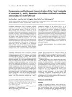 Báo cáo khoa học: Coexpression, puriﬁcation and characterization of the E and S subunits of coenzyme B12 and B6 dependent Clostridium sticklandii D-ornithine aminomutase in Escherichia coli potx