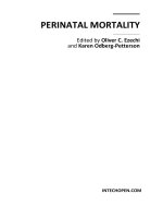 Perinatal Mortality Edited by Oliver C. Ezechi and Karen Odberg-Petterson potx