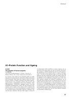 Báo cáo khoa học: A1–Protein Function and Ageing pptx
