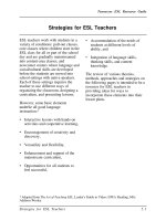 Strategies for ESL Teachers