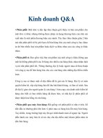 Kinh doanh Q&A pot