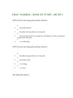 TRẮC NGHIỆM – KINH TẾ VĨ MÔ – ĐỀ SỐ 3 pptx