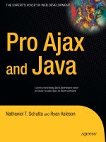 pro ajax and java frameworks, 2006