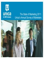 The State of Marketing 2011: Unica’s Annual Survey of Marketers pptx