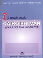 Kỹ thuật nuôi cá rô phi vằn ppt