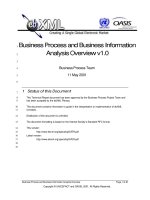 Business Process and Business Information: Analysis Overview v1.0 ppt