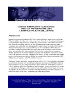 ASSISTED REPRODUCTIVE TECHNOLOGIES: OVERVIEW AND PERSPECTIVE USING A REPRODUCTIVE JUSTICE FRAMEWORK pdf