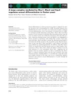 Báo cáo khoa học: A large complex mediated by Moc1, Moc2 and Cpc2 regulates sexual differentiation in ﬁssion yeast ppt