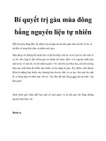 Bí quyết trị gàu mùa đông bằng nguyên liệu tự nhiên pdf