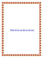 Phân bổ tài sản đầu tư dài hạn ppt