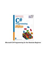 microsoft c programming for absolute beginners