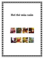 Hơi thở mùa xuân pptx