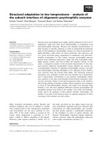 Báo cáo khoa học: Structural adaptation to low temperatures ) analysis of the subunit interface of oligomeric psychrophilic enzymes pdf